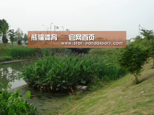 案例展示四(图1)
