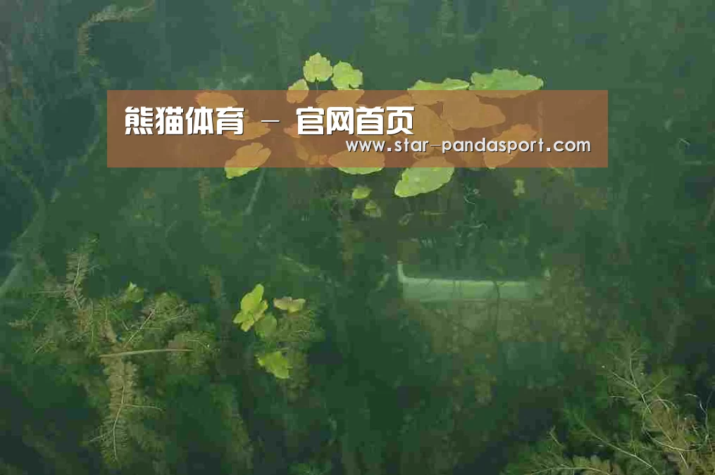 案例展示三(图1)