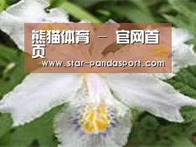 产品名称二