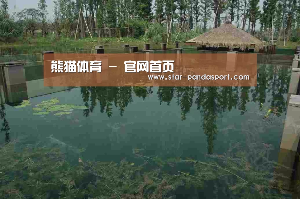 案例展示二