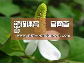 产品名称三