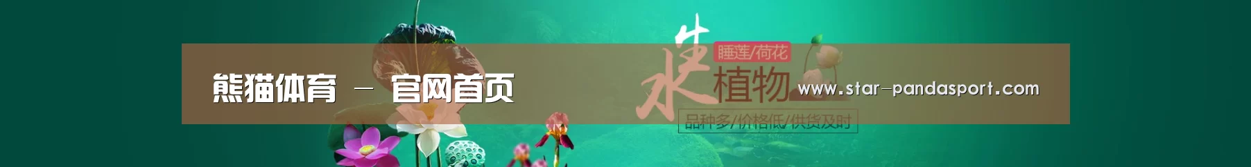鲜花水草花卉网站模板