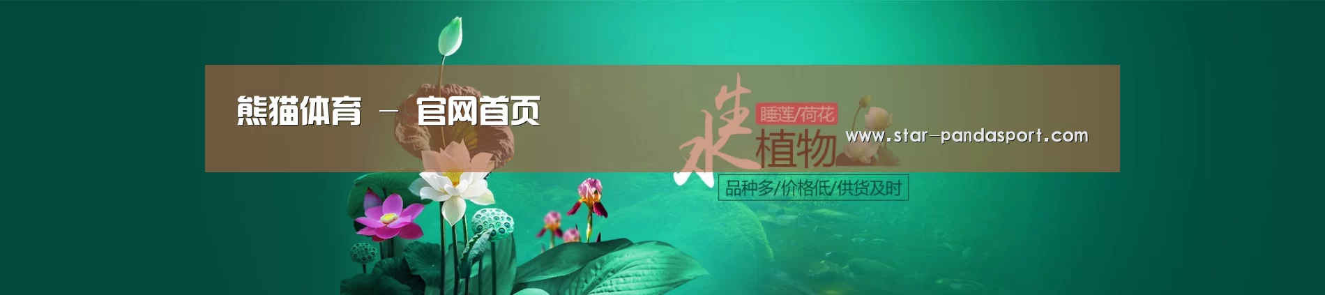 鲜花水草花卉网站模板
