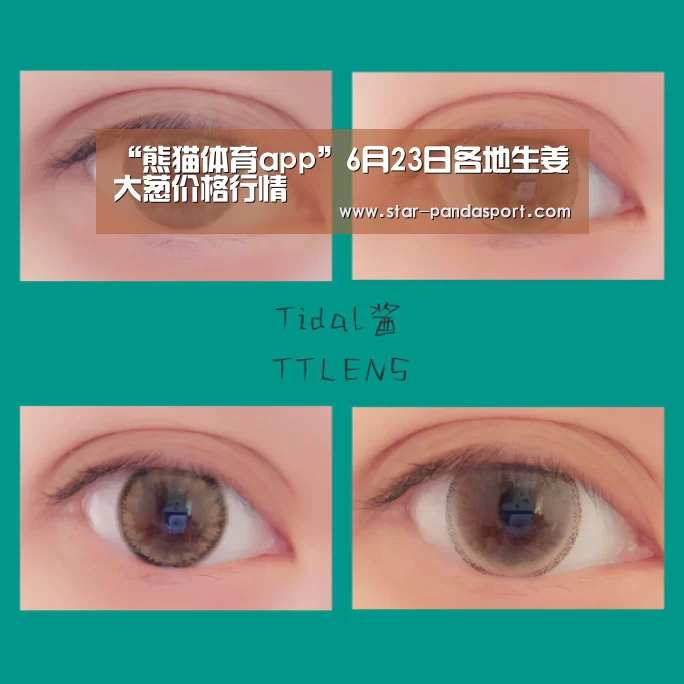 熊猫体育