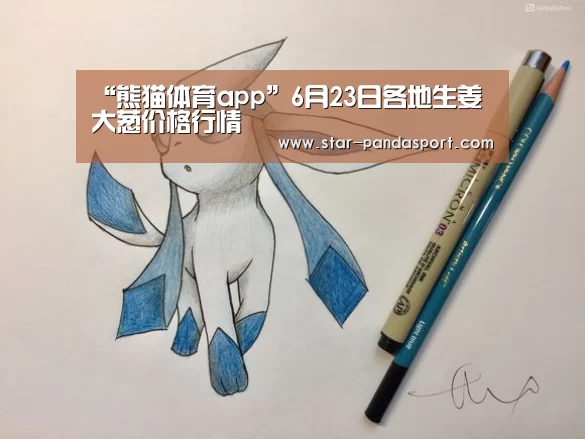 熊猫体育