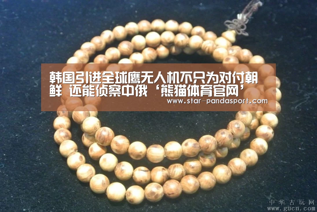 韩国引进全球鹰无人机不只为对付朝鲜 还能侦察中俄‘熊猫体育官网’(图1) 熊猫