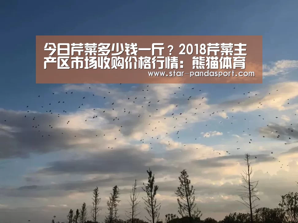 今日芹菜多少钱一斤?2018芹菜主产区市场收购价格行情:熊猫体育(图2) 熊猫