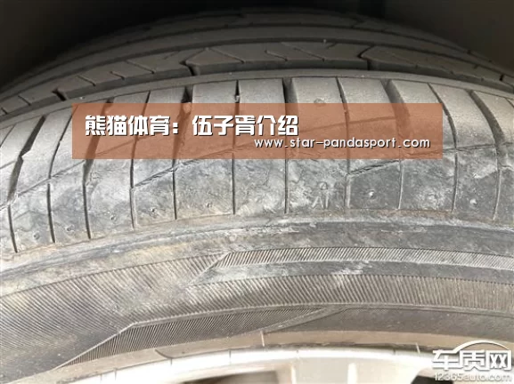 熊猫体育app