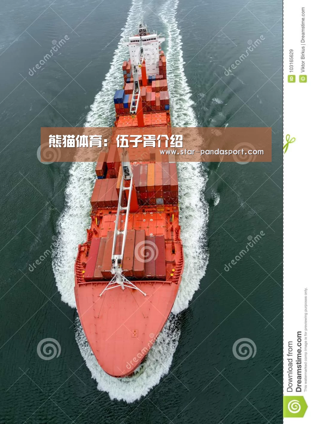 熊猫体育官网