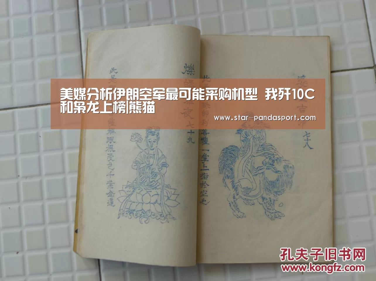 美媒分析伊朗空军最可能采购机型 我歼10C和枭龙上榜|熊猫(图3) 熊猫