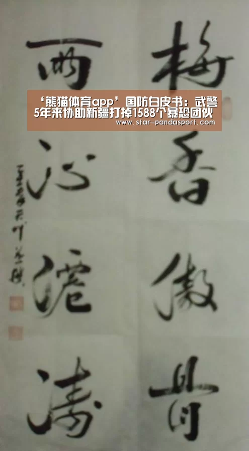 ‘熊猫体育app’国防白皮书:武警5年来协助新疆打掉1588个暴恐团伙(图2) 熊猫体育app