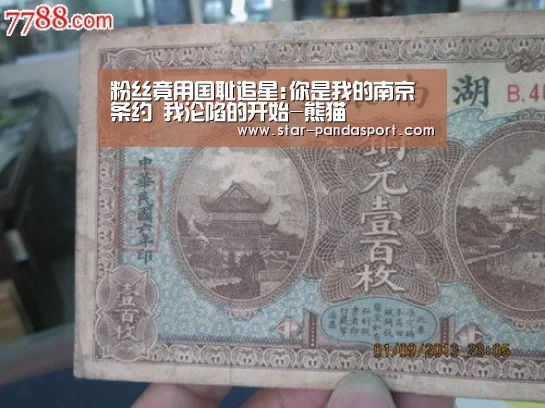 粉丝竟用国耻追星:你是我的南京条约 我沦陷的开始-熊猫(图2) 熊猫