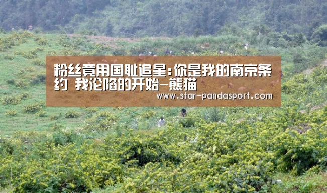 粉丝竟用国耻追星:你是我的南京条约 我沦陷的开始-熊猫(图1) 熊猫体育官网