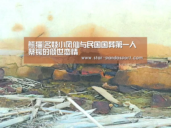 熊猫|名妓小凤仙与民国国葬第一人蔡锷的倾世恋情(图1) 熊猫