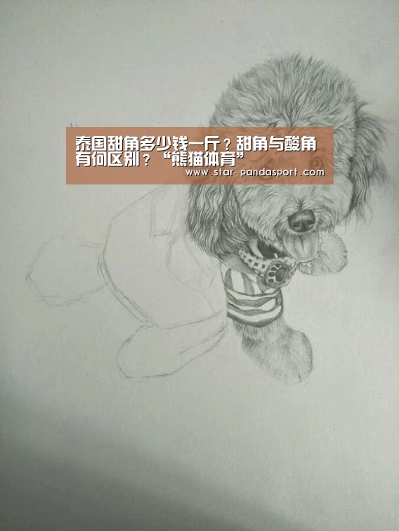熊猫