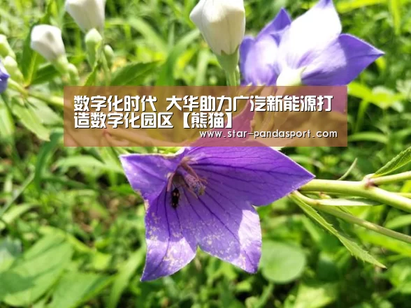 数字化时代 大华助力广汽新能源打造数字化园区【熊猫】(图1) 熊猫体育