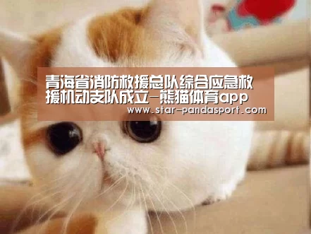 青海省消防救援总队综合应急救援机动支队成立-熊猫体育app(图3) 熊猫体育app