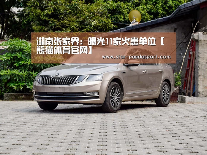 湖南张家界:曝光11家火患单位【熊猫体育官网】(图1) 熊猫体育官网